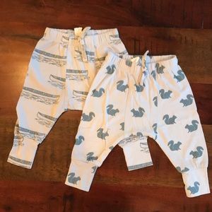 Kate Quinn Organics Panda Pants Duo